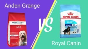 Read more about the article Arden Grange Vs Royal Canin Dog Food In 2023 – Which Is Best | Reviews