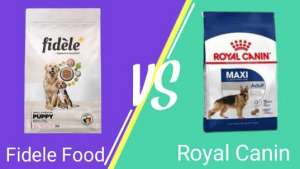 Read more about the article Fidele Dog Food Vs Royal Canin In 2023 – Which Is Best | Reviews