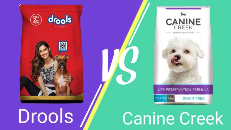 You are currently viewing Canine Creek Vs Drools Dog Food | Which Dog Food Is The Best In 2022