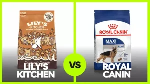 Read more about the article The Ultimate Guide on Lily’s Kitchen vs Royal Canin