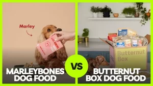 Read more about the article The Ultimate Showdown: Marleybones vs Butternut Box Dog Food in 2023