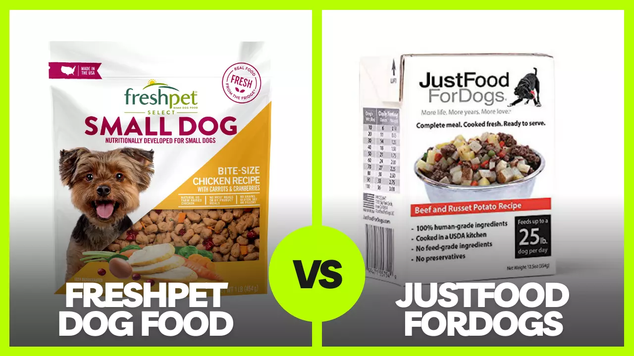 You are currently viewing Freshpet Vs Just Food for Dogs Reviews In 2023