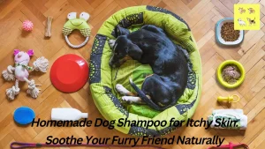 Read more about the article Homemade Dog Shampoo for Itchy Skin In 2023