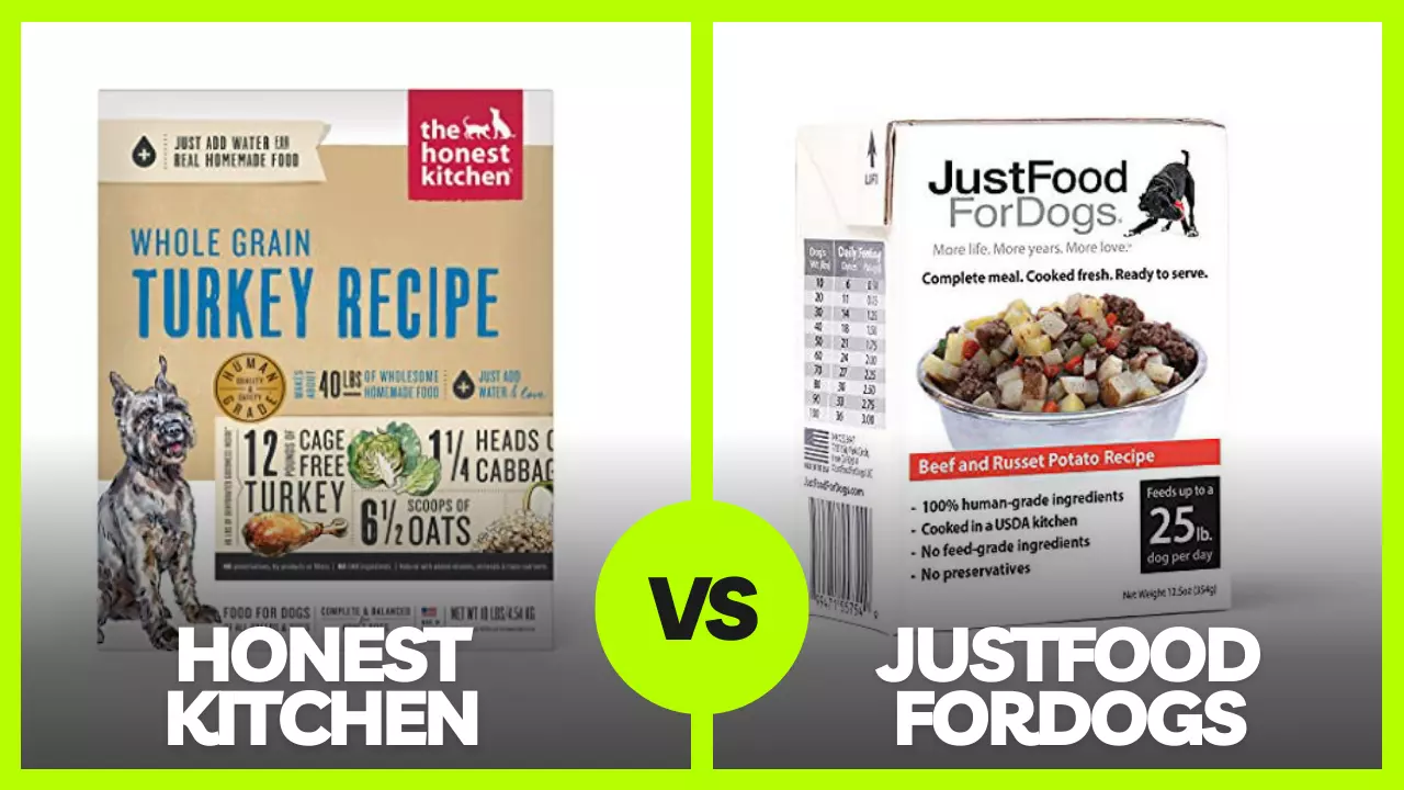 You are currently viewing JustFoodForDogs Vs Honest Kitchen Review In 2023