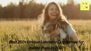 Read more about the article Best 250+ Unique Labrador Dog Names for Indian Pups In 2023