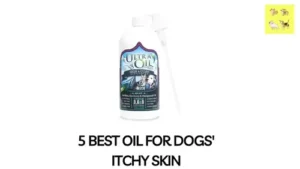 Read more about the article 5 Best Oil for Dogs’ Itchy Skin: Top Picks and How to Use Them